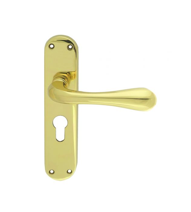 Manital ASTRO Lever on Backplate
