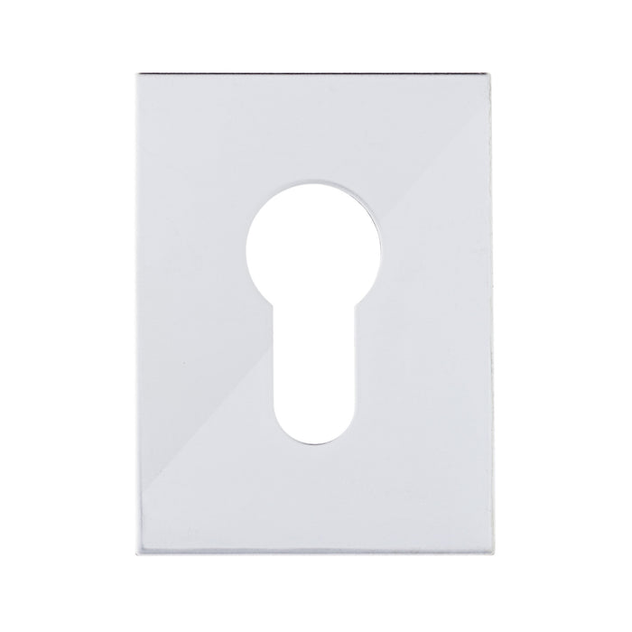 Bary - Flat Plate - Euro - Adhesive - Polished Stainless Steel