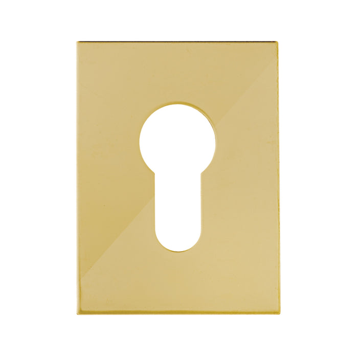 Bary - Flat Plate - Euro - Adhesive - Polished Brass