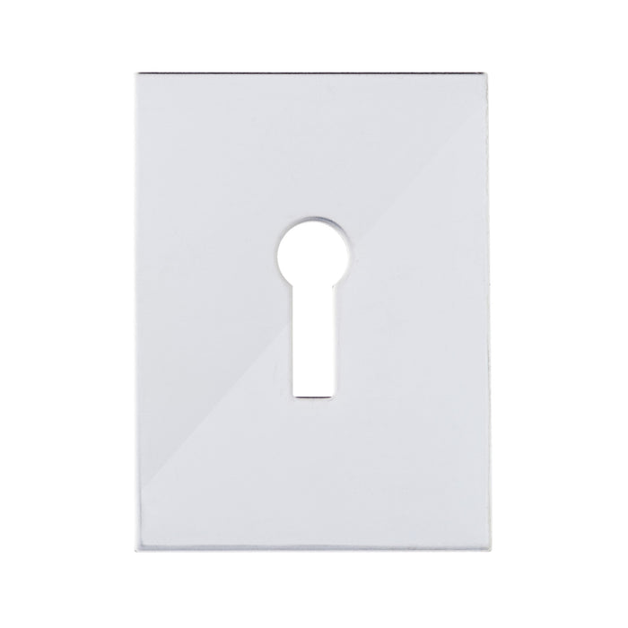 Bary - Flat Plate - Keyhole- Adhesive - Polished Stainless Steel