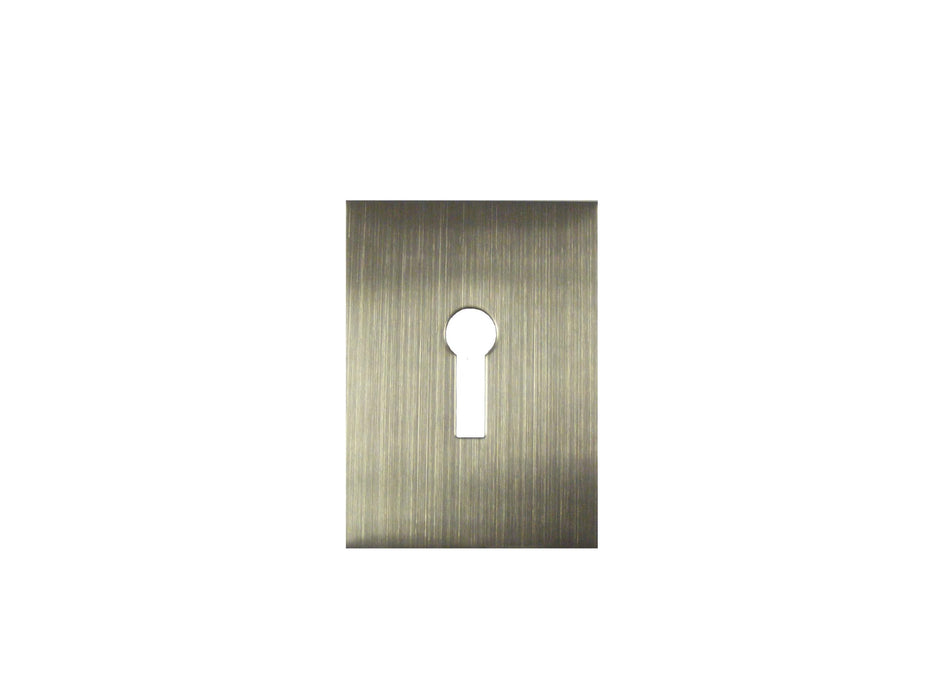 Bary - Flat Plate - Keyhole- Adhesive - Satin Stainless Steel