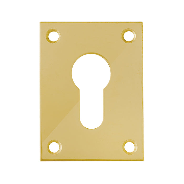 Bary - Flat Plate - Euro - Screw On Escutcheon - Polished Brass
