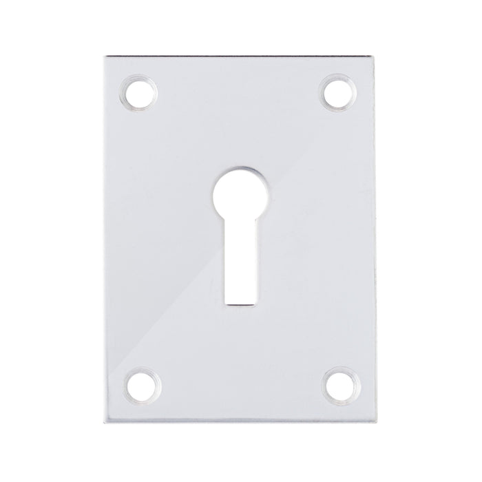 Bary - Flat Plate - Keyhole- Screw On Escutcheon - Polished Stainless Steel