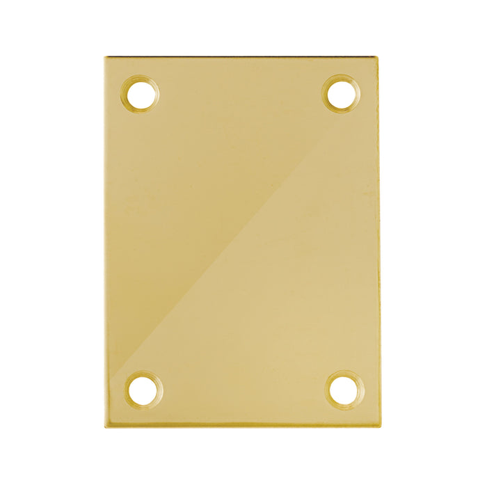 Bary - Flat Plate - Blank - Screw On Escutcheon - Polished Brass