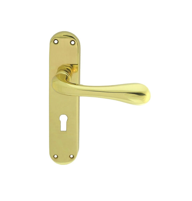 Carlisle Brass Astro Lever on Backplate