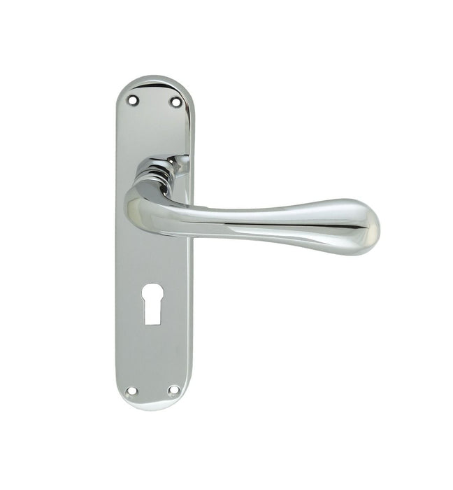 Carlisle Brass Astro Lever on Backplate