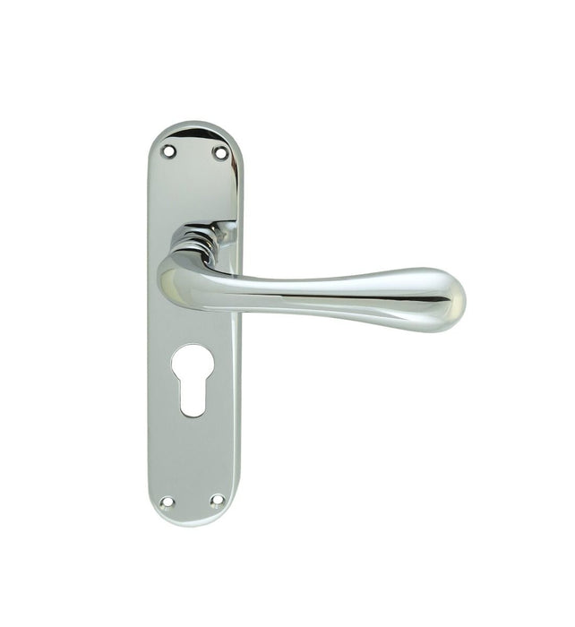 Carlisle Brass Astro Lever on Backplate