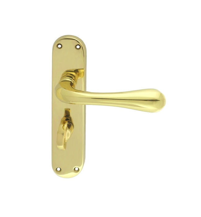 Carlisle Brass Astro Lever on Backplate