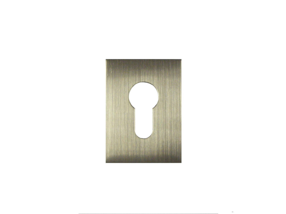 Bary - Flat Plate - Euro - Adhesive - Satin Stainless Steel