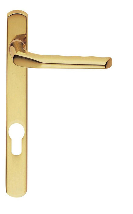 Carlisle Brass Narrow Plate with Straight Lever