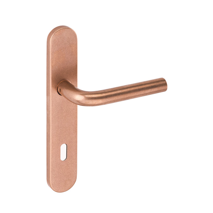 JNF Times Bronze Material Door Lever Handle with Plate BZ.03.009