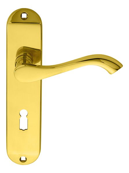 Carlisle Brass ANDROS Lever on Backplate