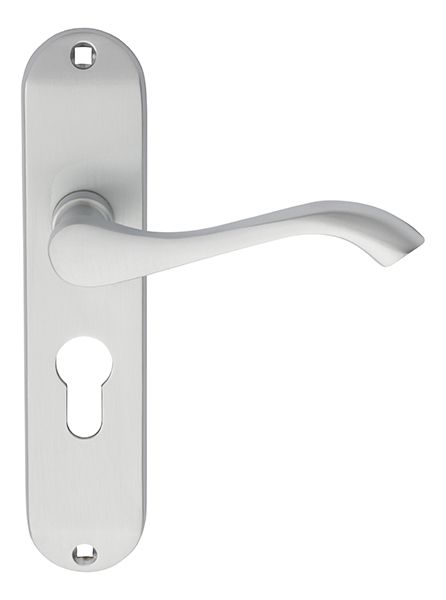 Carlisle Brass ANDROS Lever on Backplate