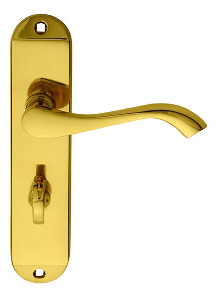 Carlisle Brass ANDROS Lever on Backplate