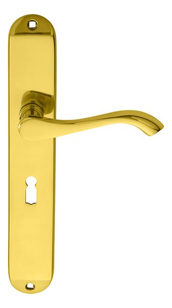 Carlisle Brass ANDROS Lever on Backplate