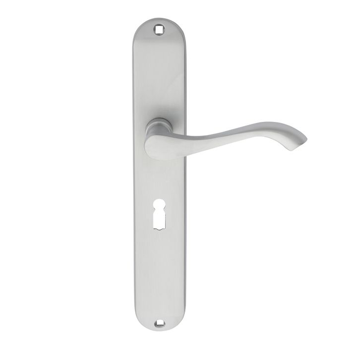 Carlisle Brass ANDROS Lever on Backplate