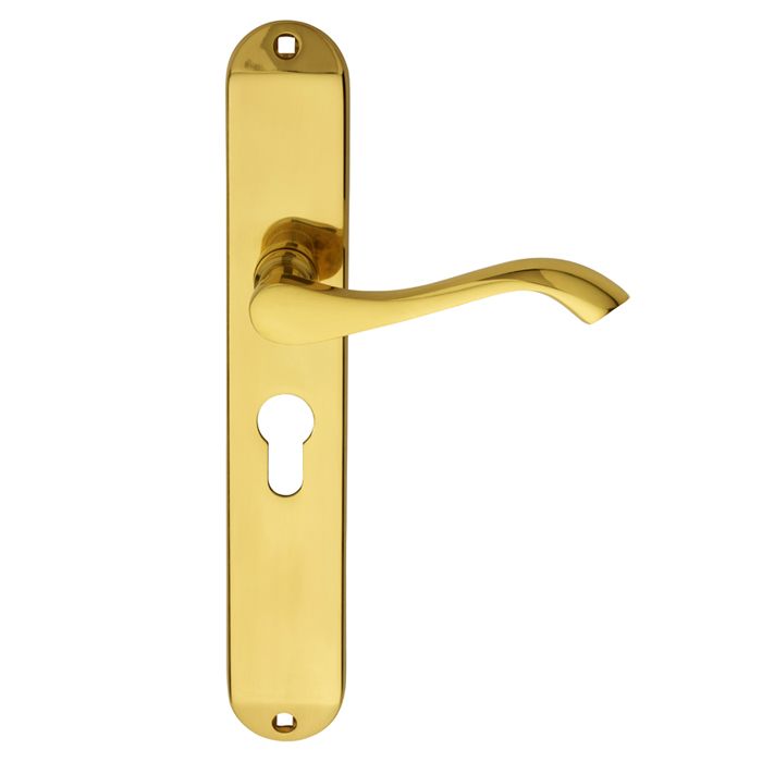 Carlisle Brass ANDROS Lever on Backplate