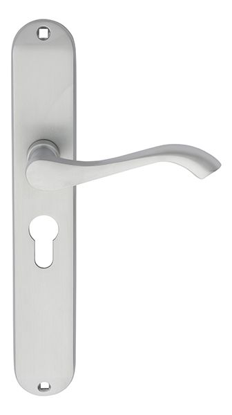 Carlisle Brass ANDROS Lever on Backplate