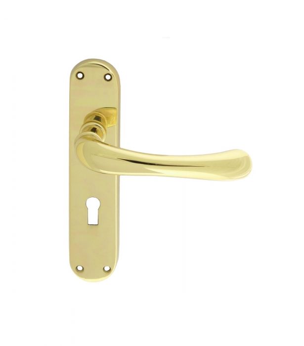 Manital EL12 IBRA Lever on Latch Backplate