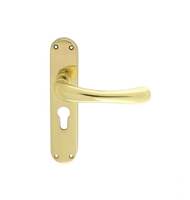 Manital EL12 IBRA Lever on Latch Backplate