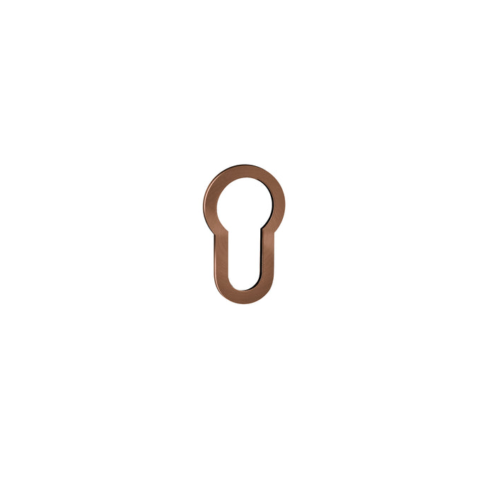 JNF Even Less Keyhole for European Cylinder IN.04.RY01