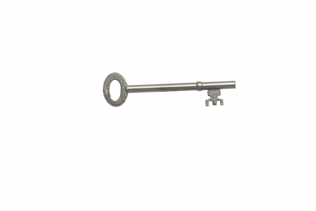 Bary London Fire Brigade FB2 Key — Newstar Door Controls Ltd