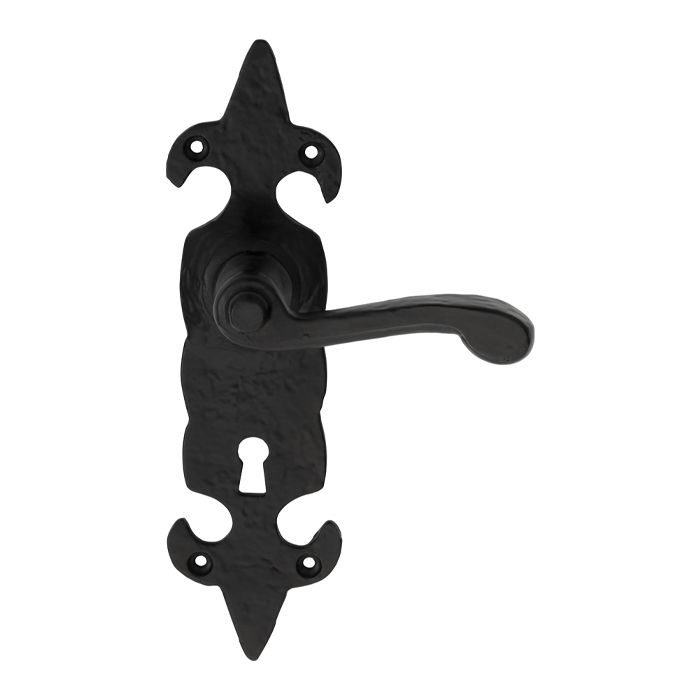 Carlisle Brass Fleur De Lys' Lever on Backplate