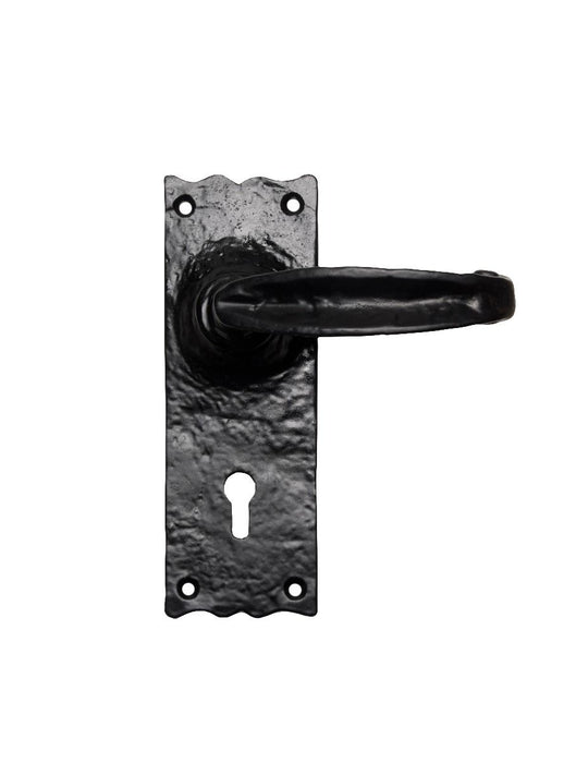 Carlisle Brass Traditional V Lever on Backplate